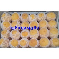黄金蜜毛桃价格-陕西纸袋黄金蜜毛桃产地上市价格